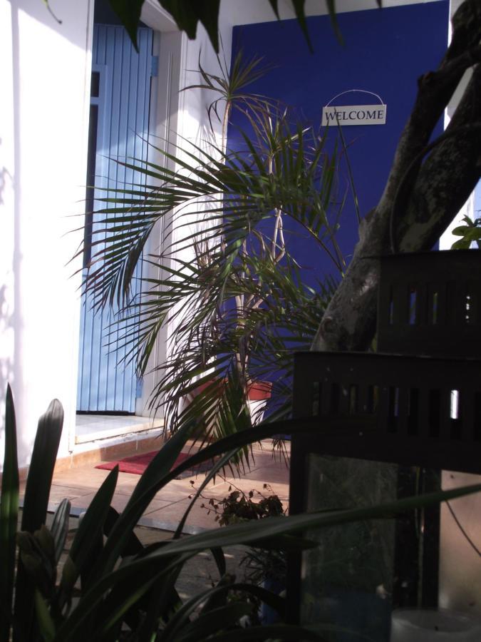 Ellenas- Studios Никиана Екстериор снимка